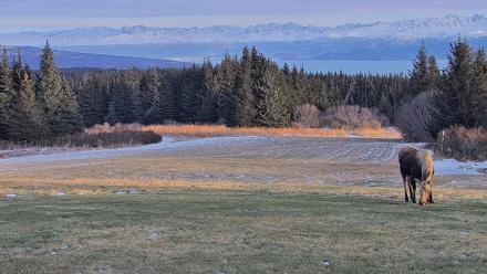 Inspiration Ridge - Homer Alaska Live Webcam - Dec 22, 2025, 2:08pm AKST