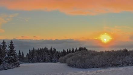 Inspiration Ridge - Homer Alaska Live Webcam - Jan 14, 2026, 10:11am AKST