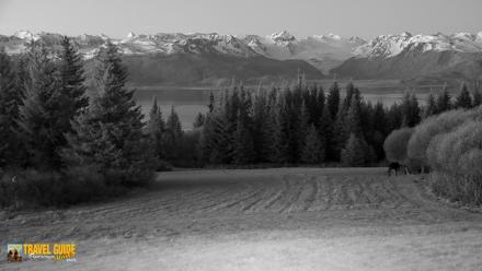 Inspiration Ridge - Homer Alaska Live Webcam - Jun 5, 2026, 2:57am AKDT