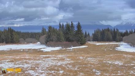 Inspiration Ridge - Homer Alaska Live Webcam - Apr 20, 2026, 2:18pm AKDT