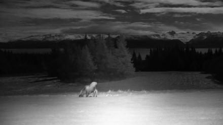 Inspiration Ridge - Homer Alaska Live Webcam - Nov 3, 2025, 9:24pm AKST