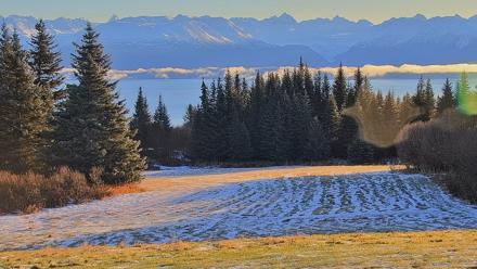 Inspiration Ridge - Homer Alaska Live Webcam - Dec 1, 2025, 10:47am AKST