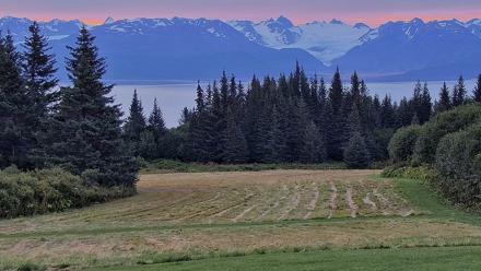 Inspiration Ridge - Homer Alaska Live Webcam - Aug 30, 2025, 6:45am AKDT