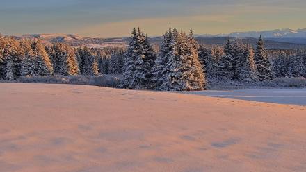Inspiration Ridge - Homer Alaska Live Webcam - Nov 22, 2025, 9:48am AKST