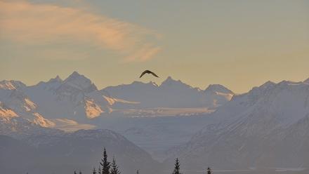 Inspiration Ridge - Homer Alaska Live Webcam - Jan 18, 2026, 12:33pm AKST