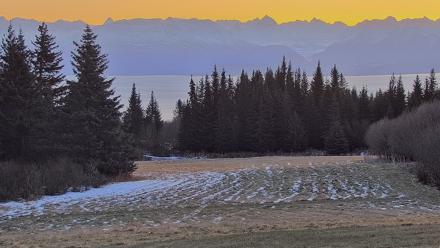 Inspiration Ridge - Homer Alaska Live Webcam - Dec 14, 2025, 9:37am AKST