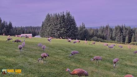 Inspiration Ridge - Homer Alaska Live Webcam - Aug 24, 2026, 6:40pm AKDT
