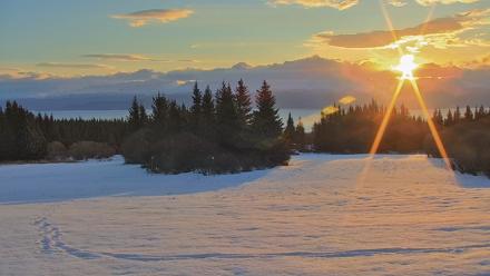Inspiration Ridge - Homer Alaska Live Webcam - Feb 15, 2026, 12:13pm AKST