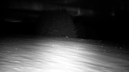 Inspiration Ridge - Homer Alaska Live Webcam - Nov 23, 2025, 2:15am AKST