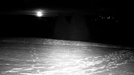 Inspiration Ridge - Homer Alaska Live Webcam - Nov 9, 2025, 8:47pm AKST