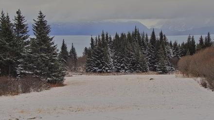 Inspiration Ridge - Homer Alaska Live Webcam - Nov 7, 2025, 4:43pm AKST