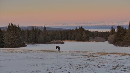 Inspiration Ridge - Homer Alaska Live Webcam - Apr 1, 2026, 9:51pm AKDT