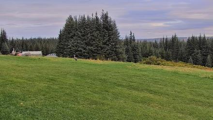 Inspiration Ridge - Homer Alaska Live Webcam - Sep 12, 2025, 10:22am AKDT