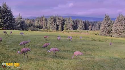 Inspiration Ridge - Homer Alaska Live Webcam - Aug 25, 2026, 8:40pm AKDT