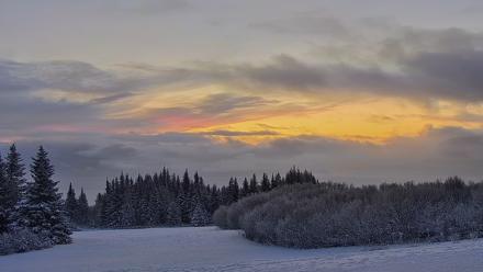 Inspiration Ridge - Homer Alaska Live Webcam - Jan 14, 2026, 9:30am AKST