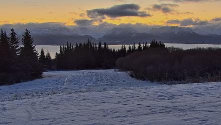Inspiration Ridge - Homer Alaska Live Webcam - Nov 19, 2025, 8:36am AKST