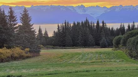 Inspiration Ridge - Homer Alaska Live Webcam - Sep 30, 2025, 8:14am AKDT