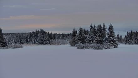 Inspiration Ridge - Homer Alaska Live Webcam - Jan 14, 2026, 4:14pm AKST