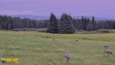 Inspiration Ridge - Homer Alaska Live Webcam - Aug 24, 2026, 4:51pm AKDT