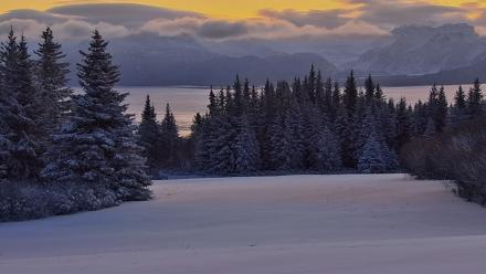 Inspiration Ridge - Homer Alaska Live Webcam - Jan 7, 2026, 9:34am AKST