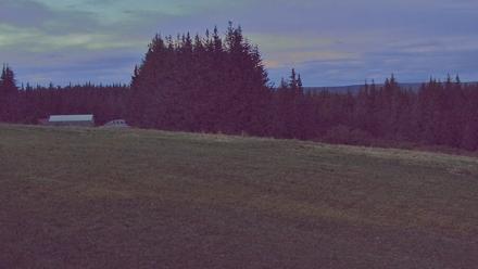 Inspiration Ridge - Homer Alaska Live Webcam - Sep 8, 2025, 9:35pm AKDT