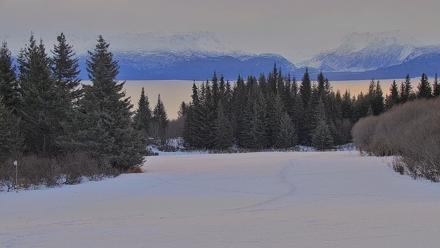 Inspiration Ridge - Homer Alaska Live Webcam - Jan 29, 2026, 11:09am AKST