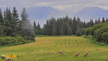 Inspiration Ridge - Homer Alaska Live Webcam - Aug 19, 2026, 5:21pm AKDT