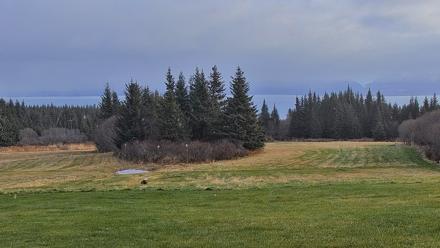 Inspiration Ridge - Homer Alaska Live Webcam - Nov 2, 2025, 12:03pm AKST