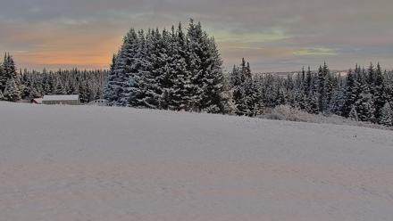 Inspiration Ridge - Homer Alaska Live Webcam - Nov 4, 2025, 9:33am AKST