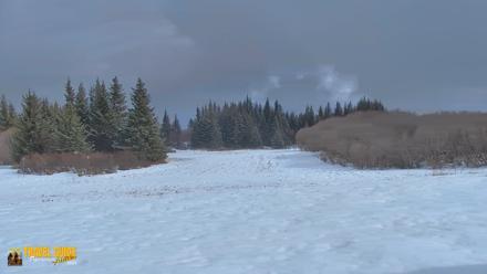 Inspiration Ridge - Homer Alaska Live Webcam - Apr 17, 2026, 4:02pm AKDT