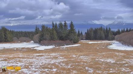 Inspiration Ridge - Homer Alaska Live Webcam - Apr 20, 2026, 2:17pm AKDT
