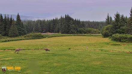 Inspiration Ridge - Homer Alaska Live Webcam - Aug 19, 2026, 5:23pm AKDT