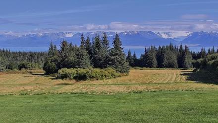 Inspiration Ridge - Homer Alaska Live Webcam - Aug 29, 2025, 3:59pm AKDT