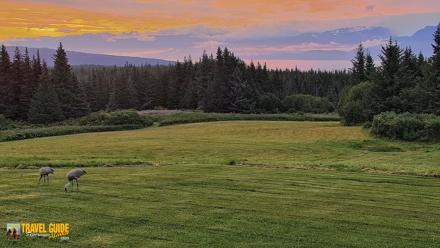 Inspiration Ridge - Homer Alaska Live Webcam - Aug 19, 2026, 6:32am AKDT