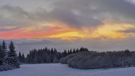 Inspiration Ridge - Homer Alaska Live Webcam - Jan 14, 2026, 9:34am AKST