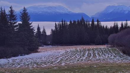 Inspiration Ridge - Homer Alaska Live Webcam - Dec 2, 2025, 9:08am AKST