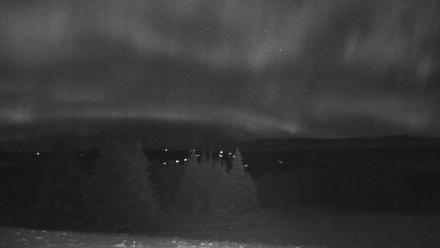 Inspiration Ridge - Homer Alaska Live Webcam - Nov 25, 2025, 1:21am AKST