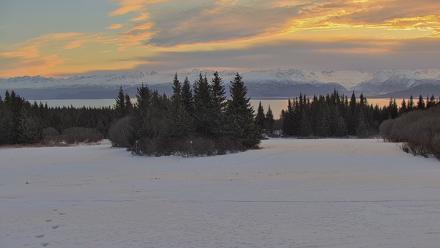 Inspiration Ridge - Homer Alaska Live Webcam - Jan 20, 2026, 10:25am AKST