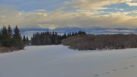 Inspiration Ridge - Homer Alaska Live Webcam - Jan 31, 2026, 1:30pm AKST