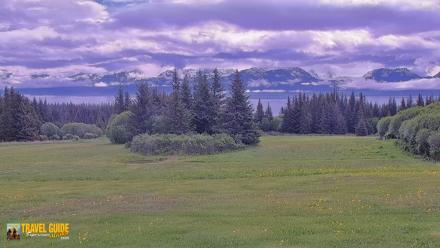 Inspiration Ridge - Homer Alaska Live Webcam - Jun 22, 2026, 11:03am AKDT
