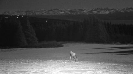 Inspiration Ridge - Homer Alaska Live Webcam - Mar 31, 2026, 10:59pm AKDT