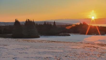 Inspiration Ridge - Homer Alaska Live Webcam - Apr 2, 2026, 8:26am AKDT