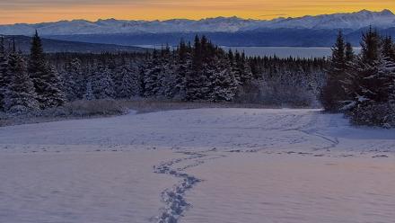 Inspiration Ridge - Homer Alaska Live Webcam - Nov 24, 2025, 8:49am AKST