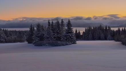 Inspiration Ridge - Homer Alaska Live Webcam - Jan 7, 2026, 9:47am AKST