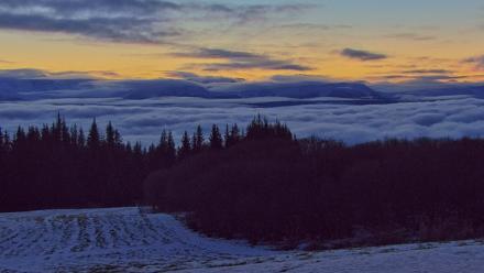 Inspiration Ridge - Homer Alaska Live Webcam - Nov 28, 2025, 8:33am AKST