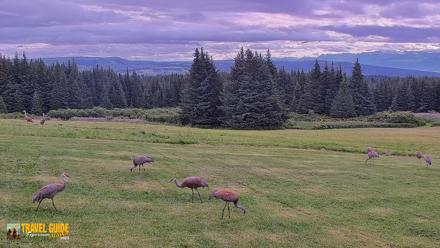 Inspiration Ridge - Homer Alaska Live Webcam - Aug 20, 2026, 9:12am AKDT