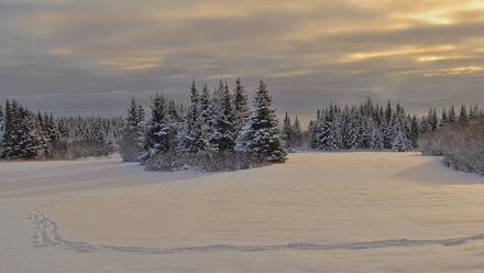 Inspiration Ridge - Homer Alaska Live Webcam - Feb 13, 2026, 10:21am AKST