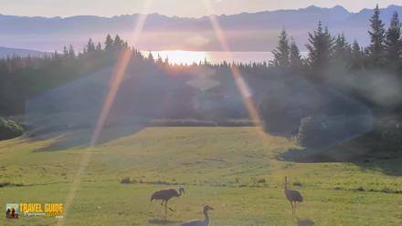 Inspiration Ridge - Homer Alaska Live Webcam - Aug 27, 2026, 7:57am AKDT