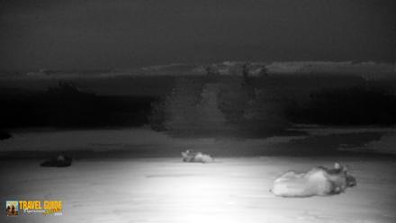 Inspiration Ridge - Homer Alaska Live Webcam - Apr 14, 2026, 10:38pm AKDT