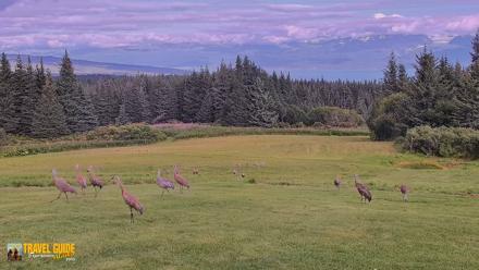 Inspiration Ridge - Homer Alaska Live Webcam - Aug 23, 2026, 10:39pm AKDT
